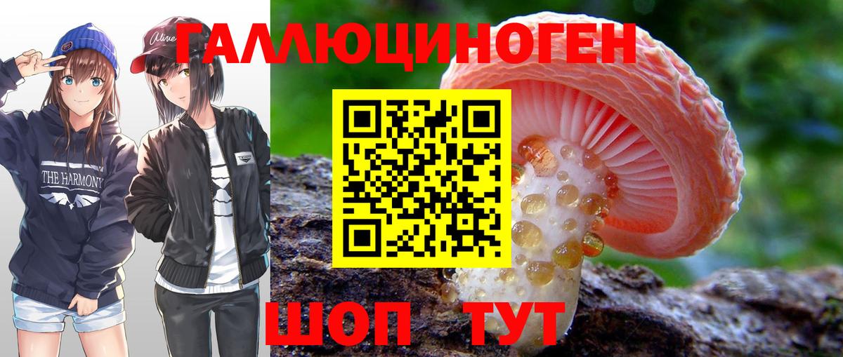 Галлюциногенные грибы Magic Shrooms Краснодар