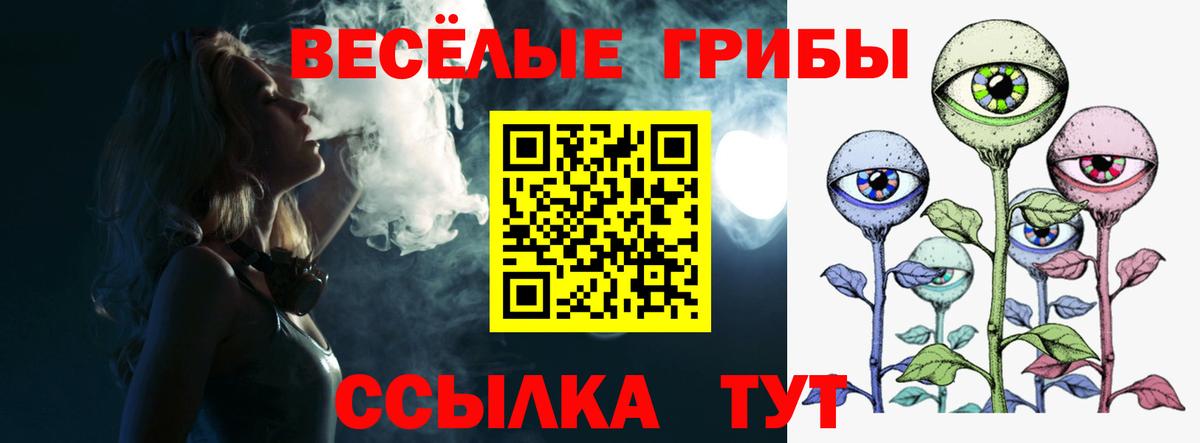 Псилоцибиновые грибы Psilocybine cubensis  дарнет шоп  Краснодар  Вход с VPN 